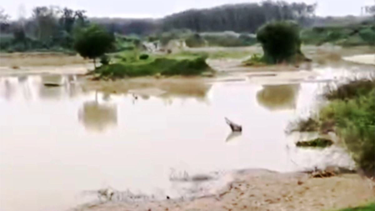 Lokasi Tambang Pasir Ilegal di Sungai Way Seputih, Kabupaten Lampung Tengah