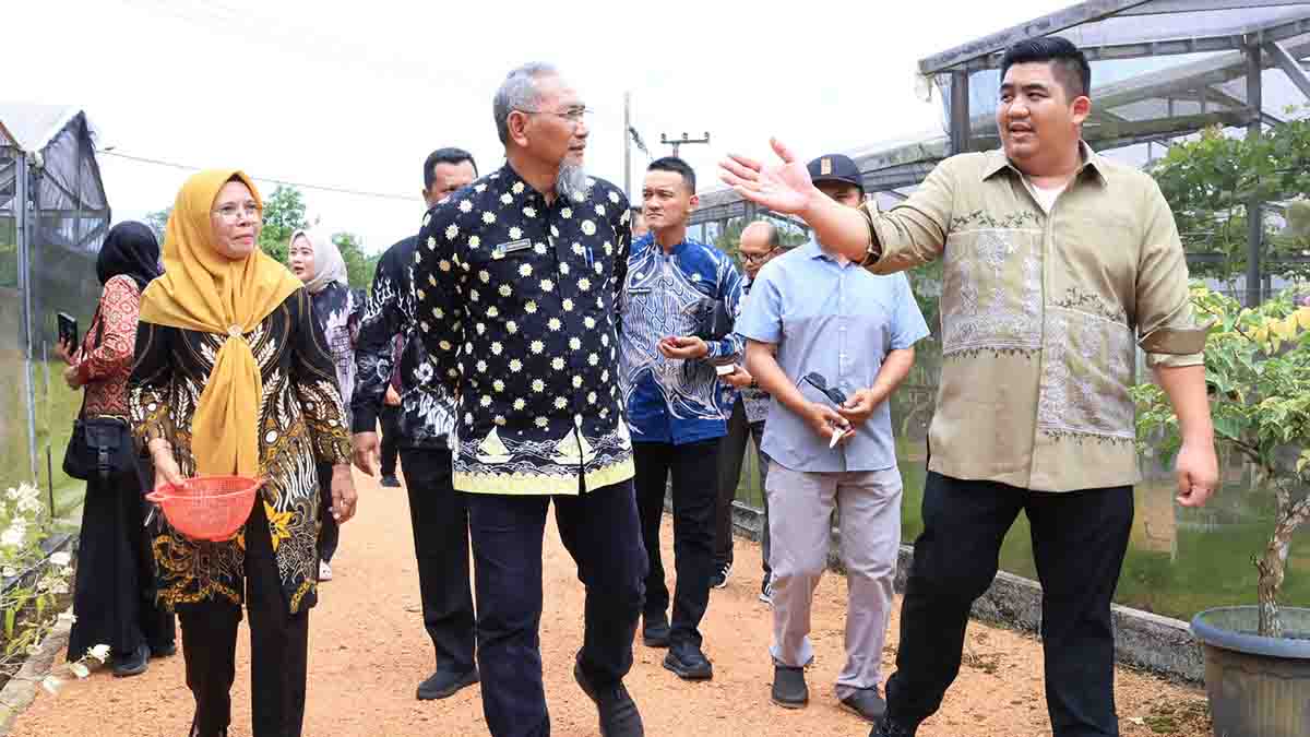 Panen Perdana Anggur Tembeling, Bupati Roby Dorong Ekowisata Modern di Bintan