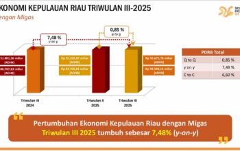 Kepri Catat Pertumbuhan Ekonomi 7,48 Persen, Tertinggi di Sumatera