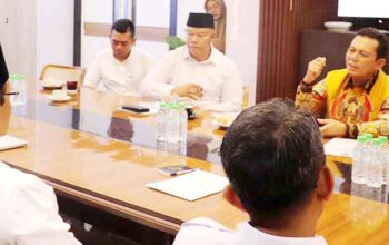 Pemprov Kepri Usulkan Insentif untuk Operator Data Desa