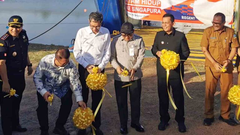Gubernur Ansar Dorong Penguatan Peternakan Modern di Kepri