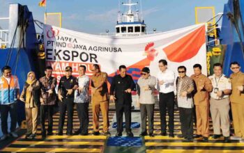 Kepri Catat Ekspor Ayam Hidup Hingga 334.568 Ekor