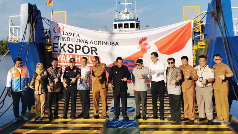 Kepri Catat Ekspor Ayam Hidup Hingga 334.568 Ekor