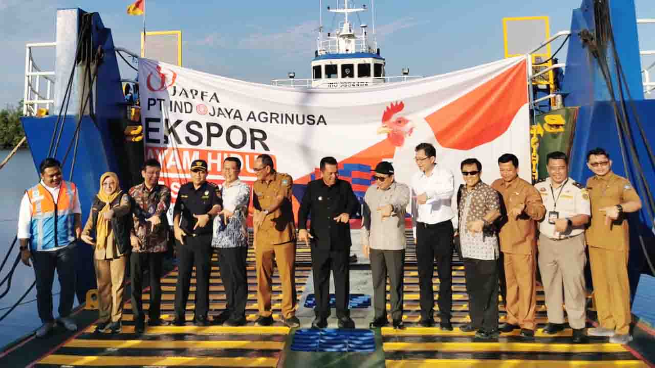 Kepri Catat Ekspor Ayam Hidup Hingga 334.568 Ekor