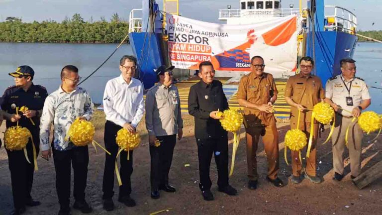 Provinsi Kepri Catat Prestasi Ekspor Ayam Hidup ke Singapura