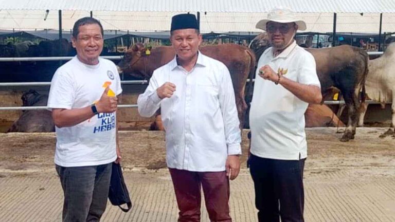 Rayakan Idul Adha 1447 H, KJK Siapkan Penyembelihan 1 Sapi dan 1 Kambing