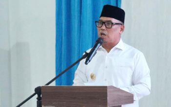 Wagub Nyanyang Soroti Blank Spot di Pulau Perbatasan Kepri saat Peluncuran Koperasi Merah Putih